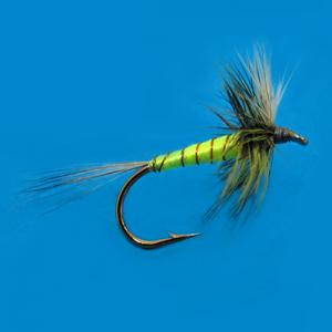 Yellow Mayfly